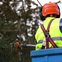 Gallyazási tevékenység